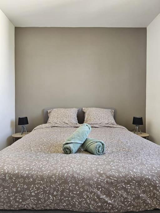 Appartement Superbe Renove